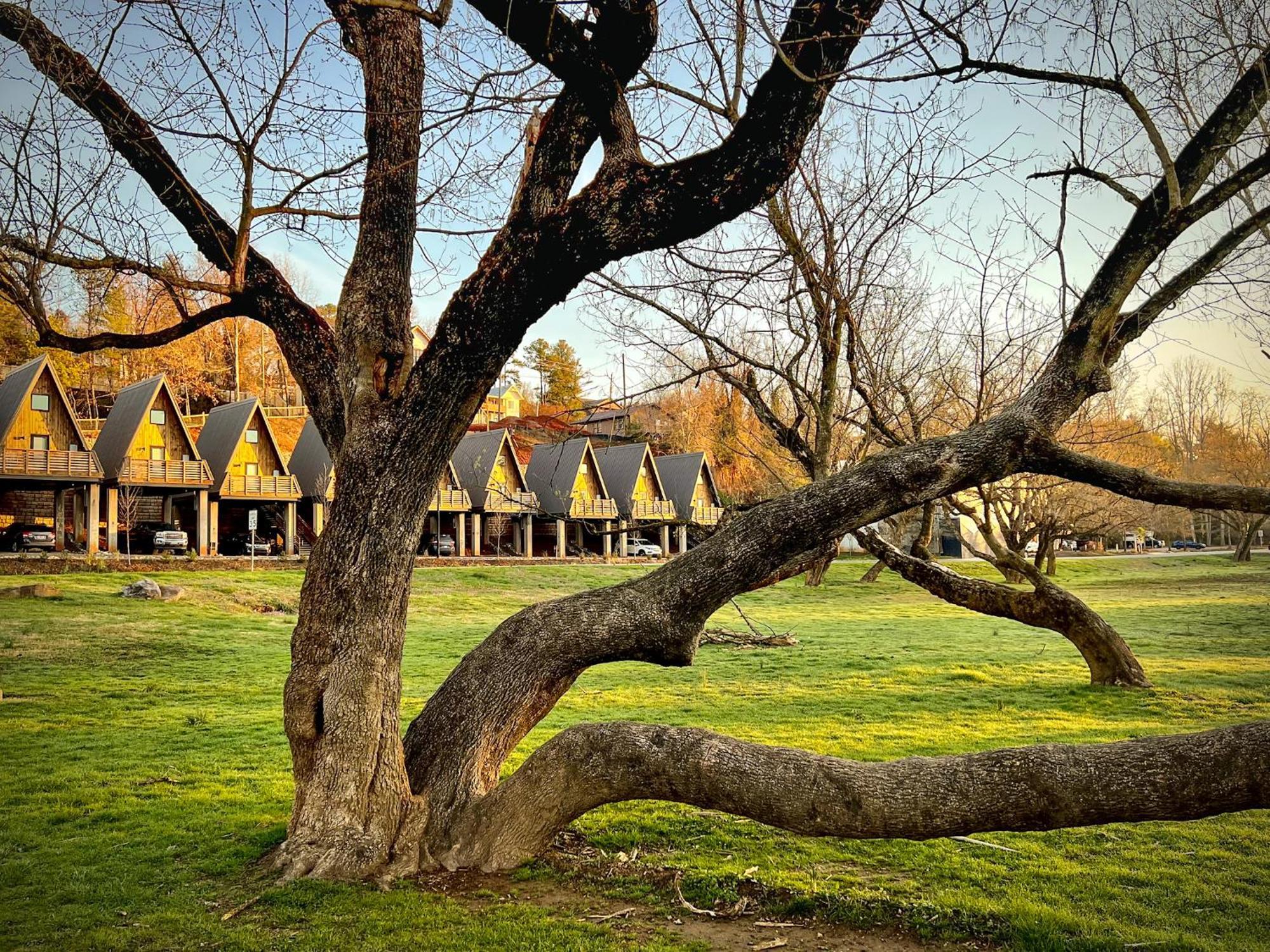 Wrong Way River Lodge & Cabins Asheville Exteriör bild